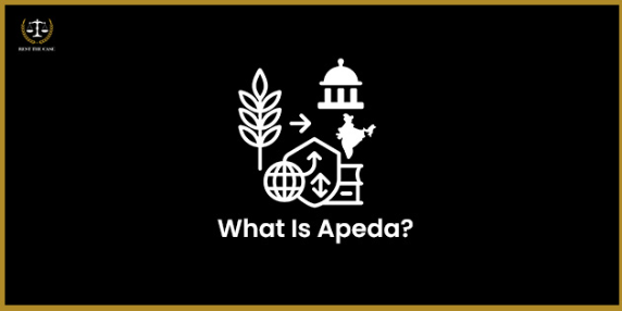 Feature Image for the blog - What Is Apeda?